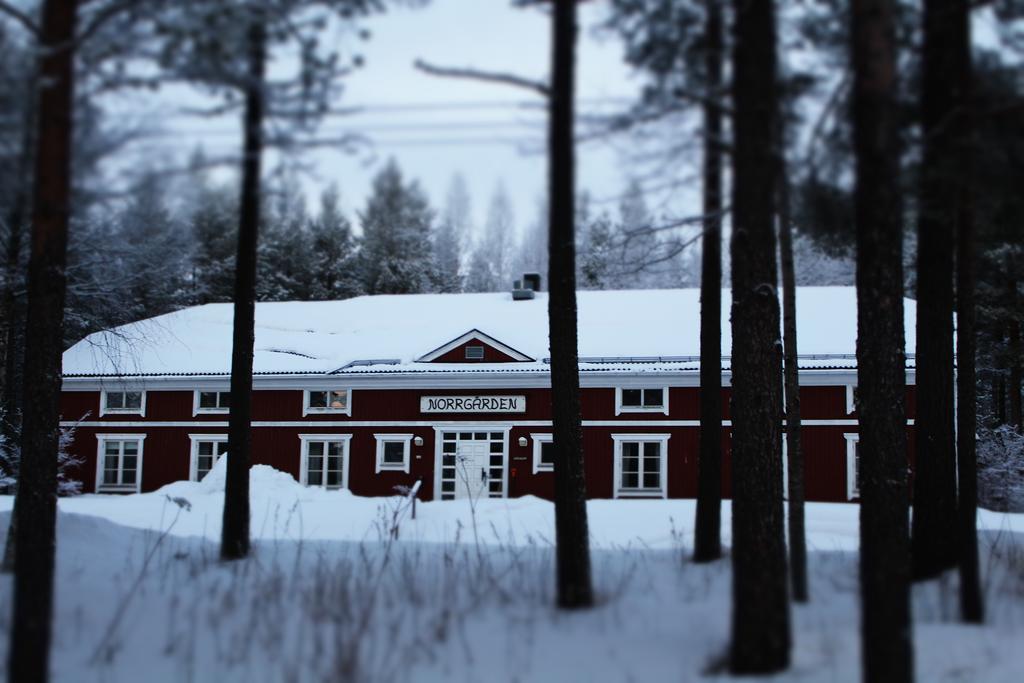 Svanstein Lodge Luaran gambar
