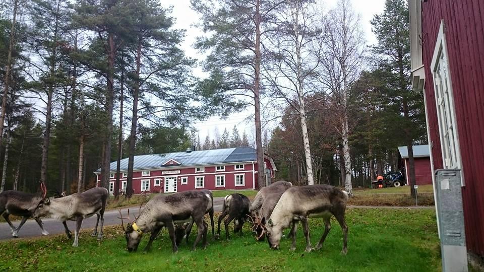 Svanstein Lodge Luaran gambar